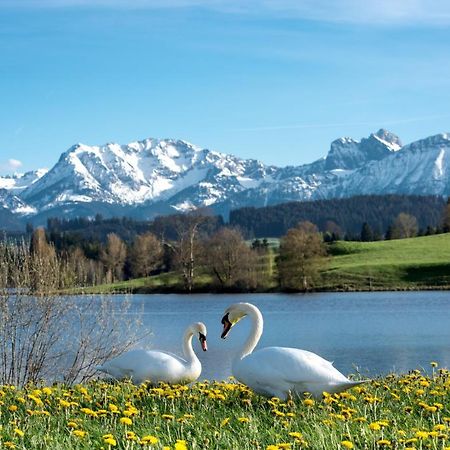 Direkt Am See Mit Bergblick Seeg Eksteriør billede